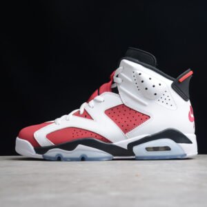 Nike Air Jordan 6