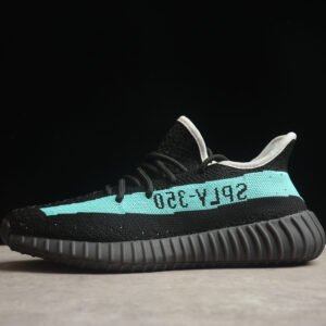 Adidas Yeezy Boost